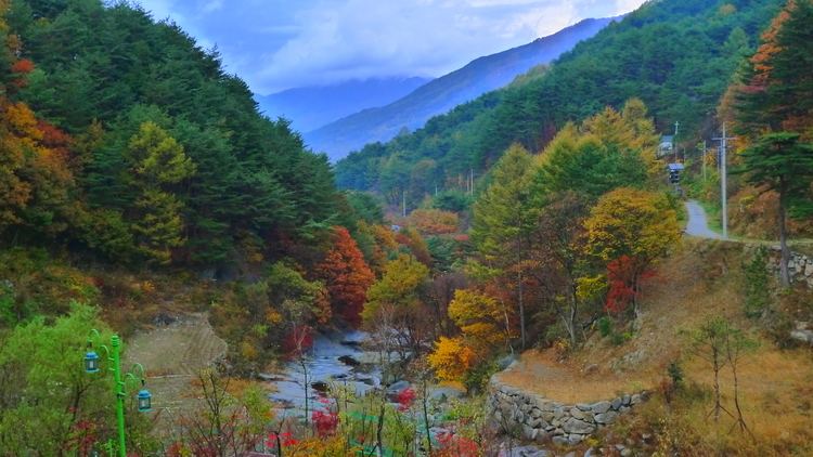 Jirisan National Park Jirisan National Park National Park in South Korea Thousand Wonders