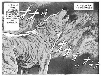Jiro Taniguchi Jiro Taniguchi Lambiek Comiclopedia