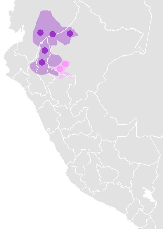 Jivaroan languages