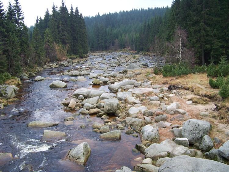 Jizera (river) httpsuploadwikimediaorgwikipediacommons22