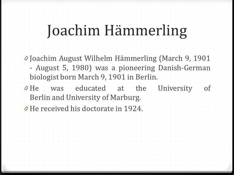 Joachim Hämmerling's Bibliography