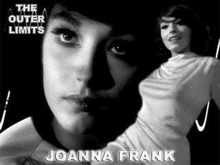 Joanna Frank We Are Controlling Transmission ZZZZZ