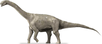 Jobaria JOBARIA DinoChecker dinosaur archive