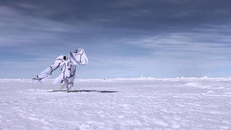 Jody Sperling Jody Sperling Dancing on Arctic Sea Ice YouTube