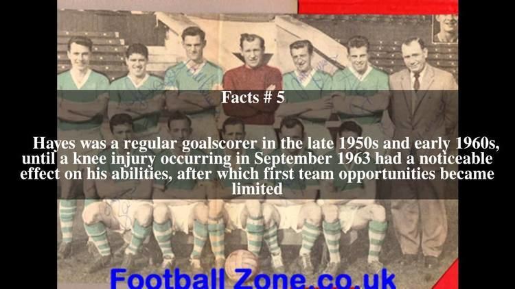 Joe Hayes (footballer) Joe Hayes footballer Top 7 Facts YouTube