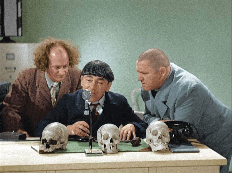 Joe Palma The Three Stooges 5 Fun Facts That You Probably Did Not Know