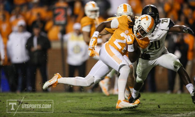 Joe Young (American football) Report Tennessee RB Joe Youngs Football Career is Over