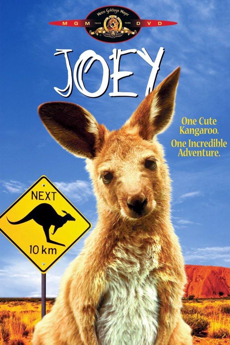 Joey (1997 film) wwwgstaticcomtvthumbdvdboxart20462p20462d