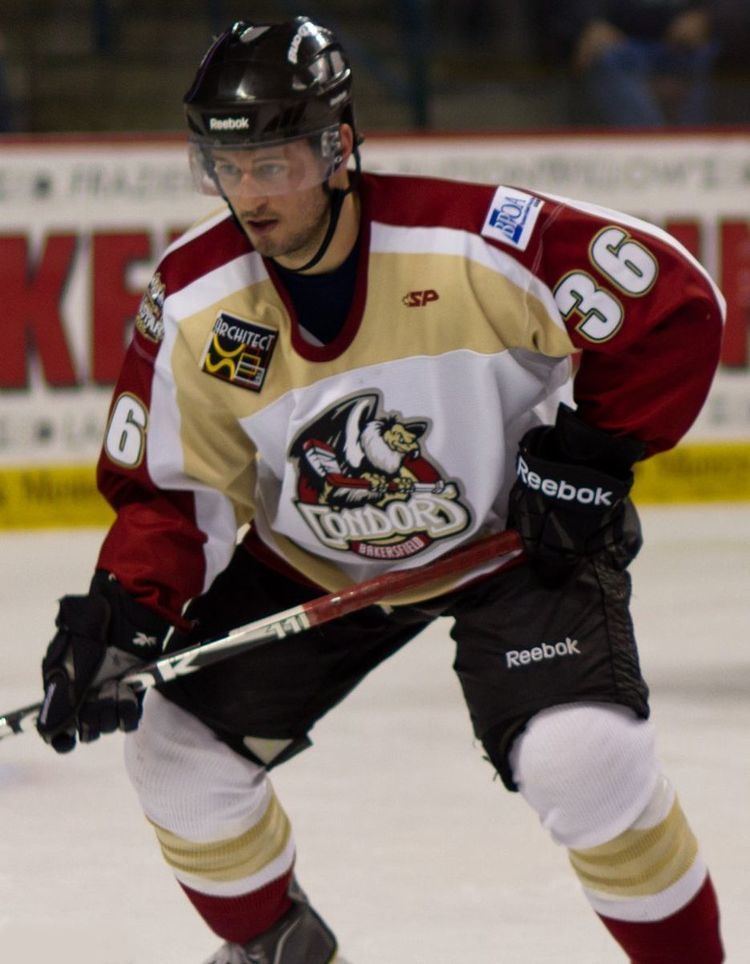 Joey Ryan (ice hockey)