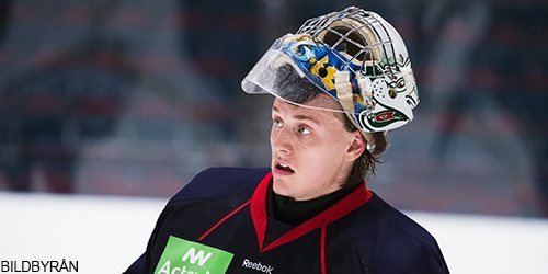 Johan Mattsson Johan Mattsson Djurgrdens IF SHL SvenskaFanscom