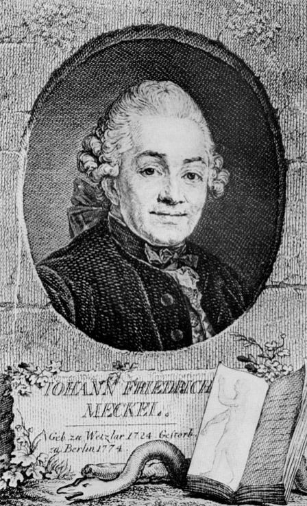 Johann Friedrich Meckel, the Elder