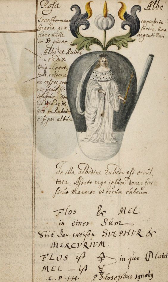 Johann Grasshoff Johann Grasshoff Alchemical Notebook 1620 Antique Prints