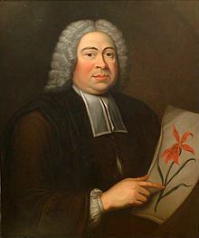 Johann Jacob Dillenius httpsuploadwikimediaorgwikipediacommonsthu