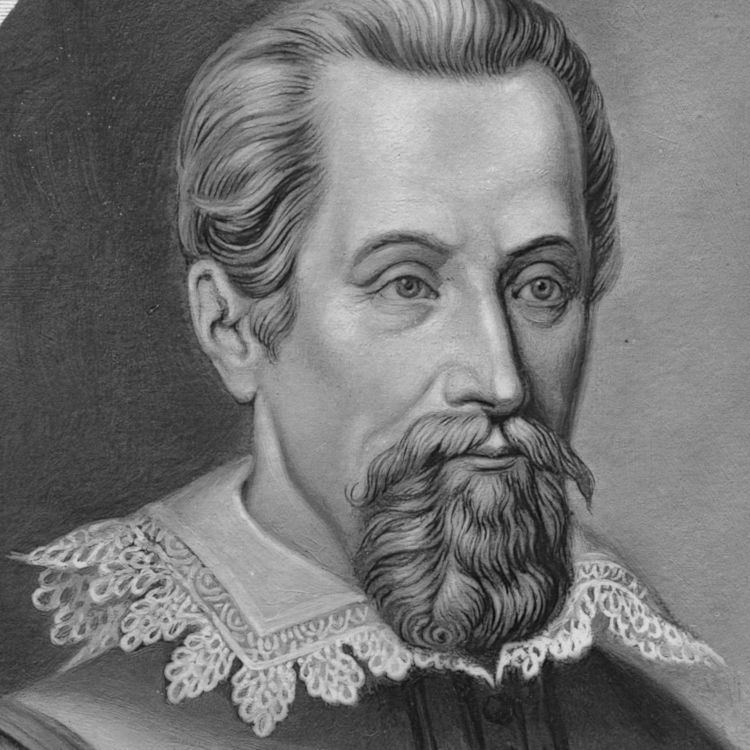 Johannes Kepler Quotes by Johannes Kepler Like Success