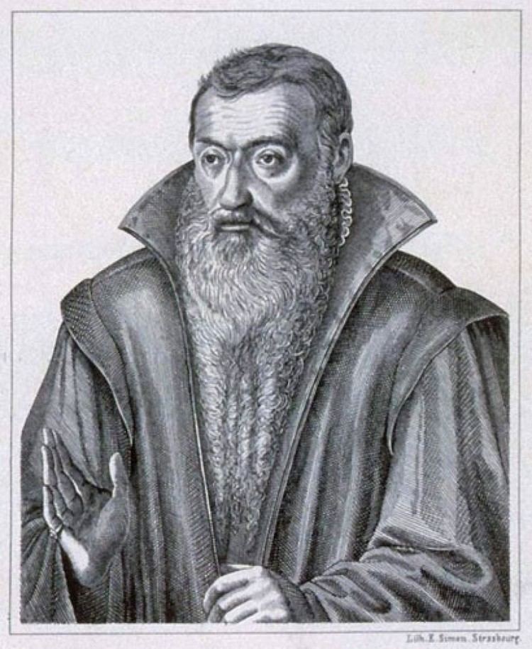 Johannes Sturm Johannes Sturm 15071589 Muse virtuel du Protestantisme