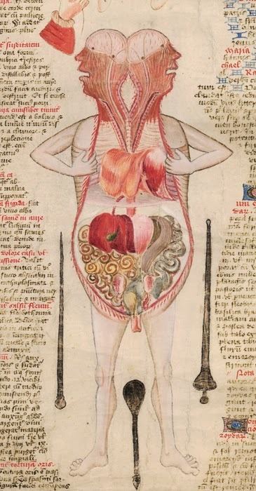 John Arderne Morbid Anatomy The Curiously Anatomized Bodies of John Arderne