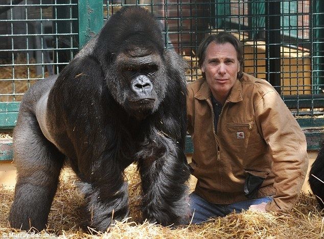John Aspinall (zoo owner) John Aspinalls son Damian reveals why hes releasing the animals