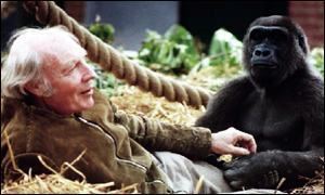 John Aspinall (zoo owner) BBC News UK Zoo keeper Aspinall dies