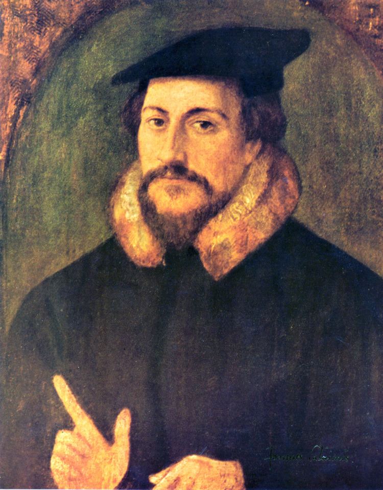John Calvin John Calvin Wikipedia the free encyclopedia
