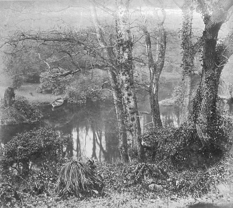 John Dillwyn Llewelyn Victorian Penllergare Penllergare Valley Woods