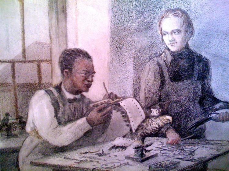 John Edmonstone John Edmonstone The Freed Slave Who Inspired Charles Darwin