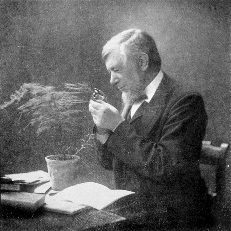 John Gilbert Baker FileJohn Gilbert Baker 1906png Wikimedia Commons