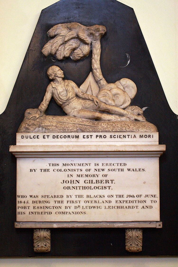 John Gilbert (naturalist)