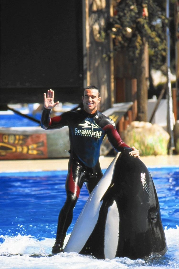 John Hargrove (orca trainer) ExSeaWorld trainer John Hargrove39s book reopens old