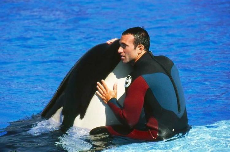 John Hargrove (orca trainer) I Was Disgusted39 How One Trainer Left The SeaWorld Horror