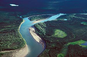 John River (Alaska) httpsuploadwikimediaorgwikipediacommonsthu