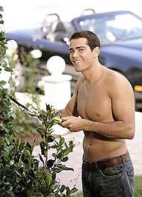 Jesse Metcalfe as John Rowland smiling while trimming a plant and shirtless in a scene from the TV series the "Desperate Housewives"