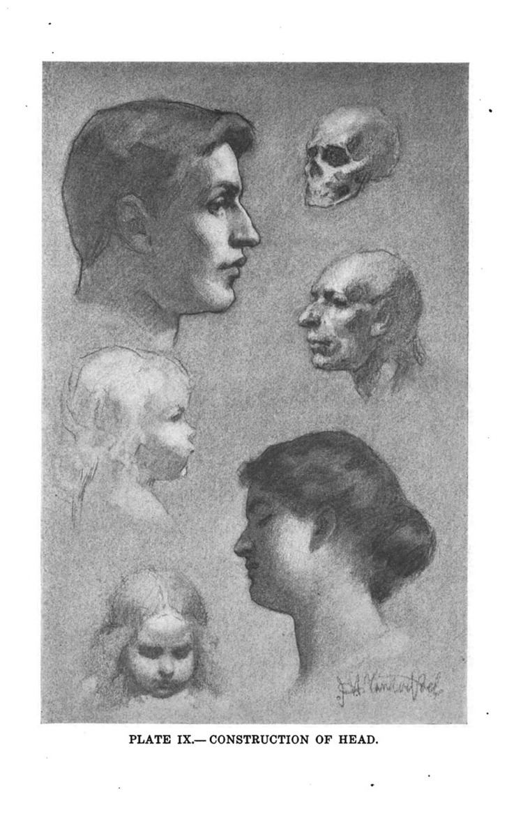 Plate IX- Construction of head by John Vanderpoel