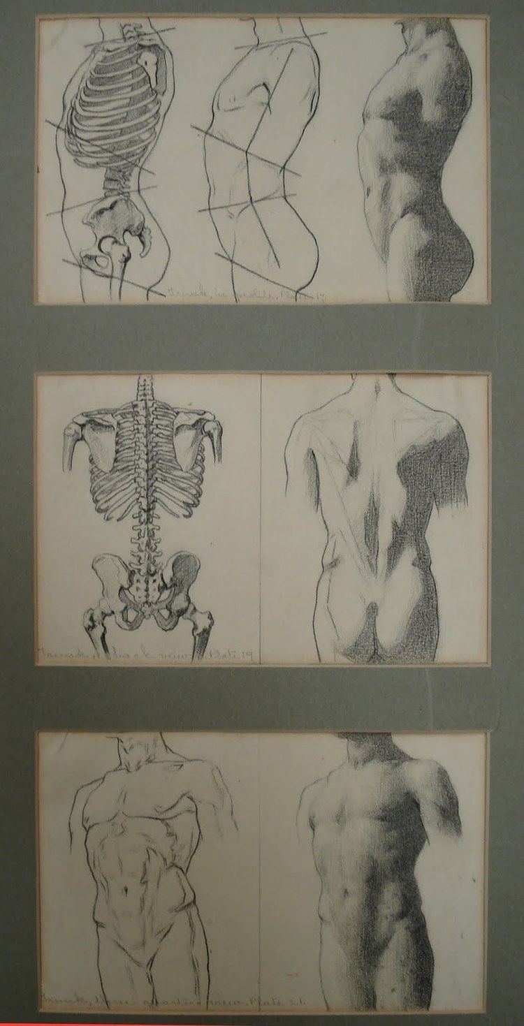 Illustration of bones of the trunk of the human body by John Vanderpoel