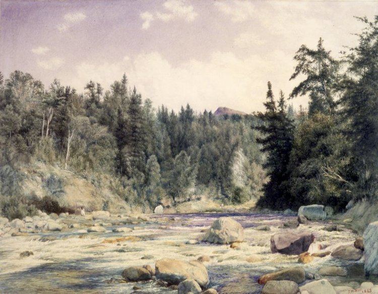 John William Hill FileBrooklyn Museum Mountain Stream John William Hill overall