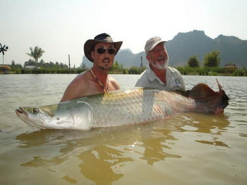 John Wilson (angler) John Wilson Fishing Thailand