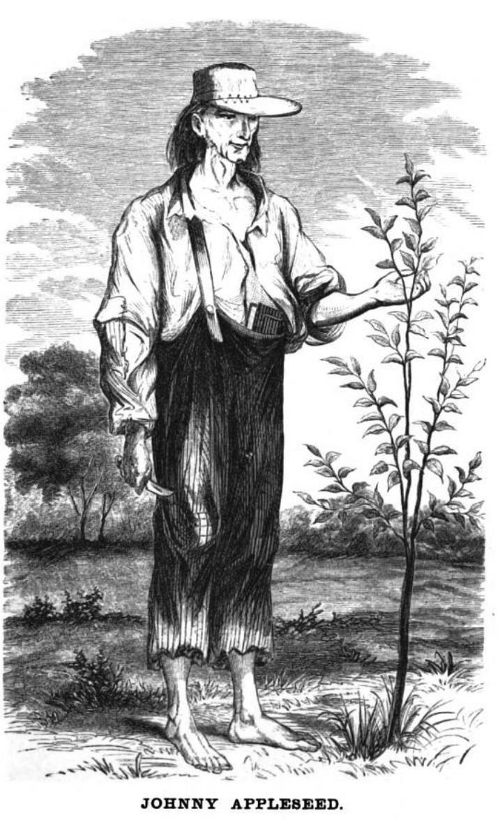Johnny Appleseed Johnny Appleseed Wikipedia the free encyclopedia