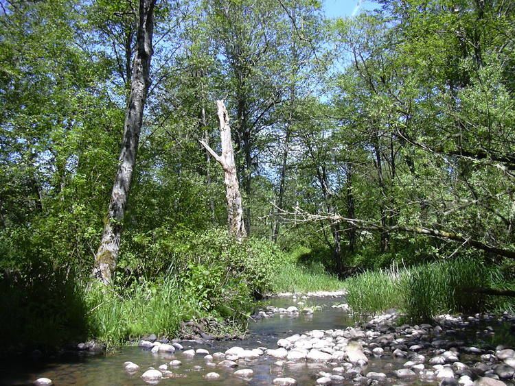 Johnson Creek (Willamette River) httpsuploadwikimediaorgwikipediacommonsaa
