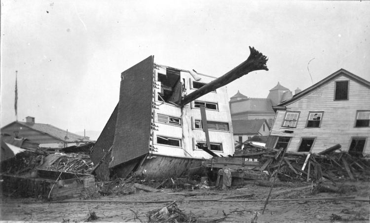 Johnstown Flood Tree in Housequot photograph Johnstown Flood aftermath 1889 SECRET