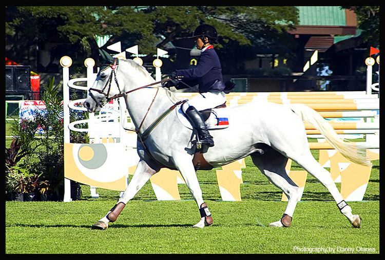 Joker Arroyo (equestrian)