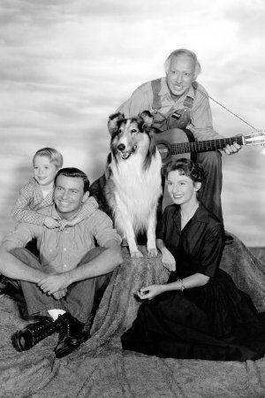 Jon Shepodd Jon Shepodd Dead Paul Martin on Lassie Was 89 Hollywood Reporter