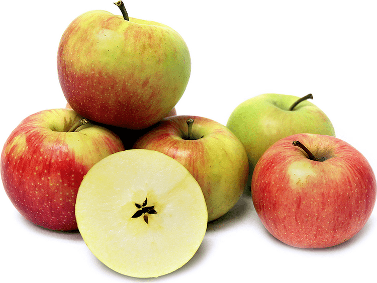 Jonagold Jonagold Apples Information and Facts