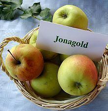 Jonagold Jonagold Wikipedia