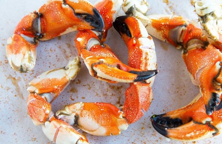 Jonah crab Jonah Crab Claws Because Seafood makes you smile