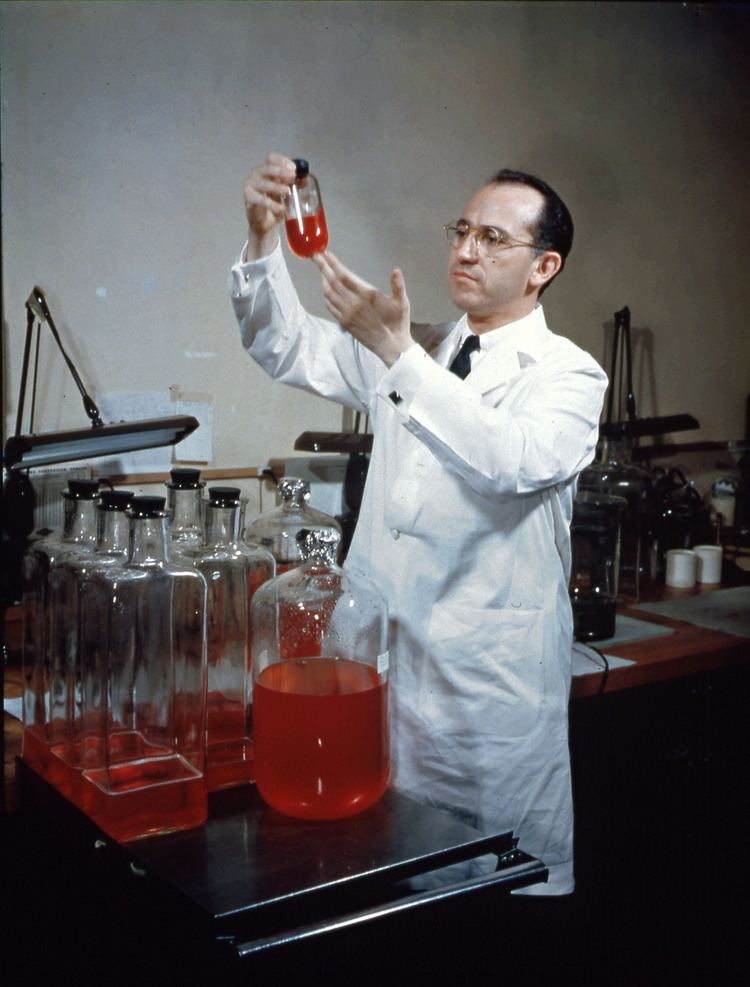 Jonas Salk Jonas Salk MD Academy of Achievement