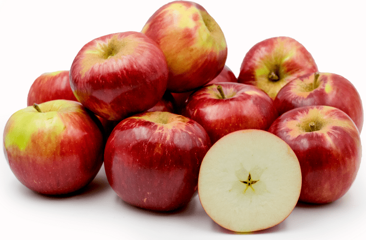 Jonathan (apple) wwwspecialtyproducecomsppics193png