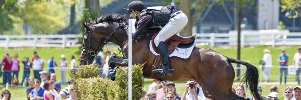 Jonathan Paget Clifton Eventers Proven eventing horses for sale