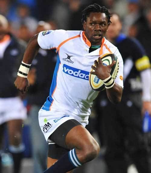 Jongi Nokwe Cheetahs winger Jongi Nokwe on the burst Rugby Union