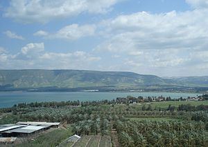 Jordan Valley (Middle East) httpsuploadwikimediaorgwikipediacommonsthu