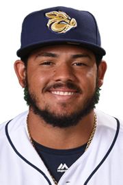 Jorge Alfaro wwwmilbcomimages595751generic180x270595751jpg