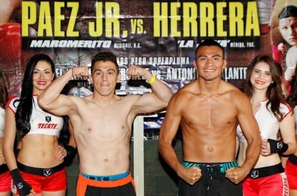Jorge Páez Jr. Weigh In Results Jorge Paez Jr vs Aaron Herrera Round By Round